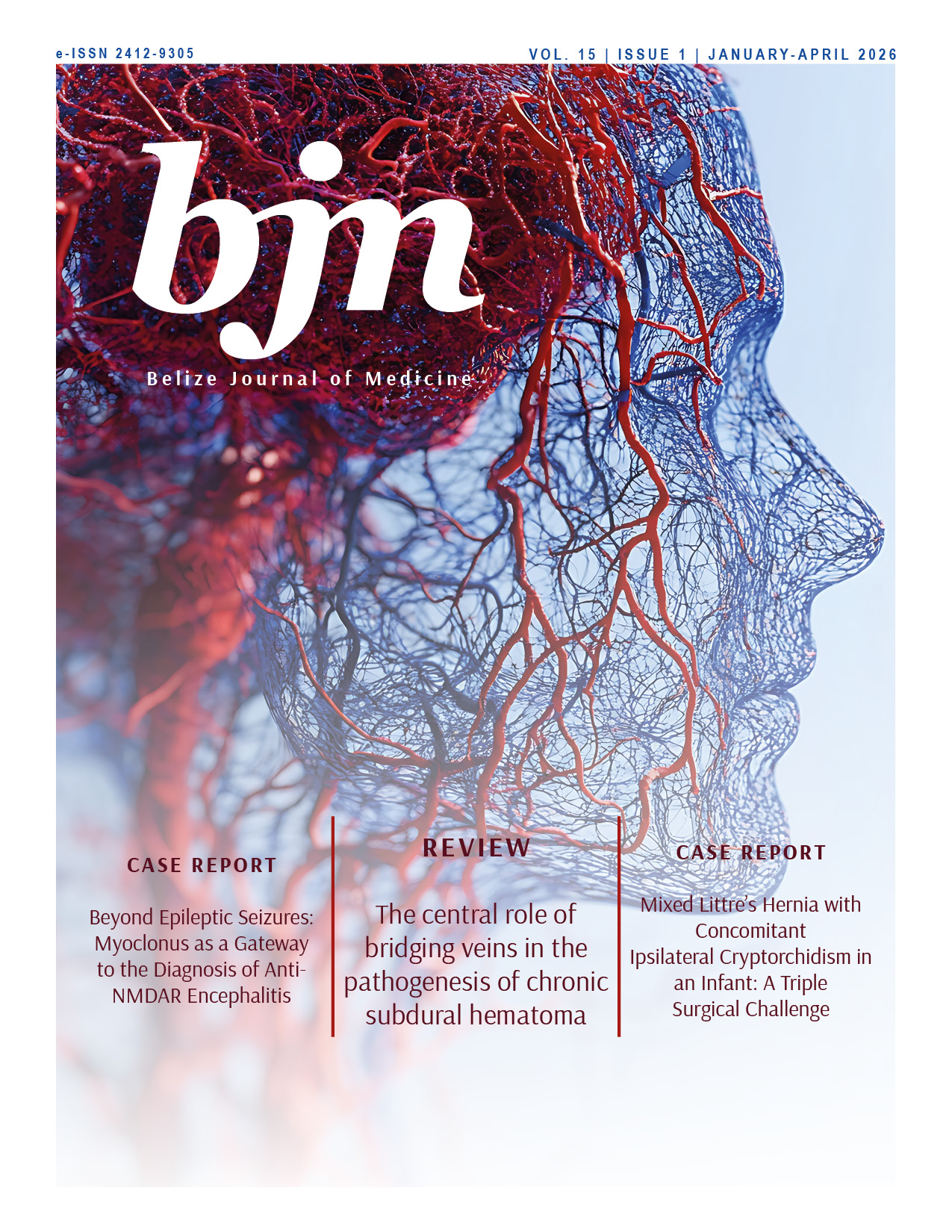 					View Vol. 15 No. 1 (2026): January-April
				